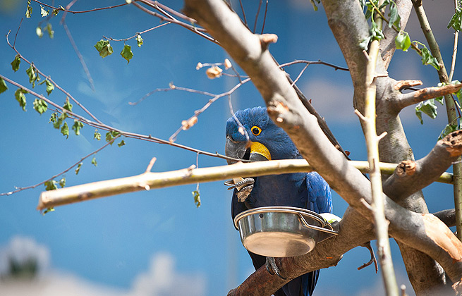 自动攻击网站工具下载