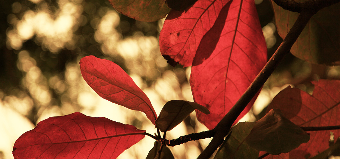 ddos攻击测试工具