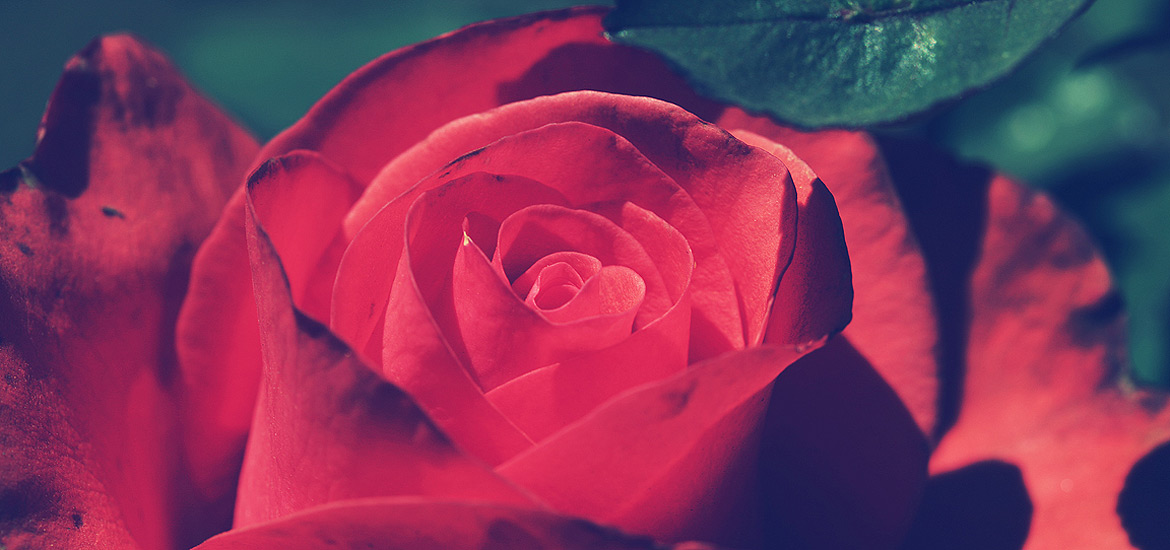 永不中断服务的CC在线压力测试